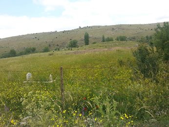 Eskipazar Çandırlar Köyü Resimleri 4