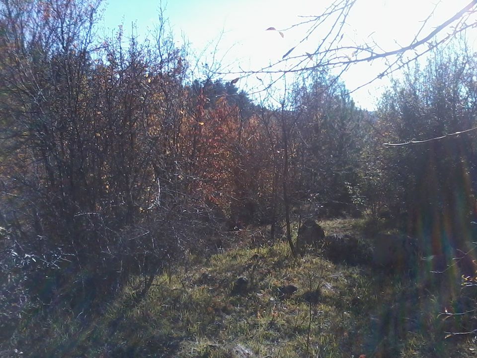 Eskipazar Çandırlar Köyü Resimleri 9