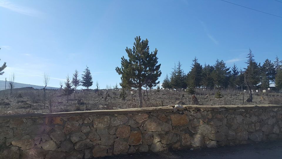 Çubuk Kapaklı Köyü Resimleri 8