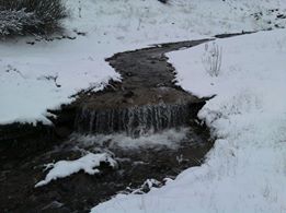 Çubuk Kavaklı Köyü Resimleri 3