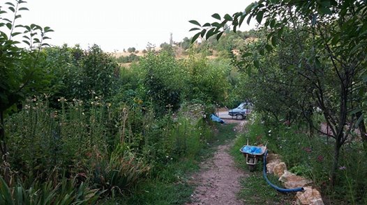 Eskipazar Çaylı Köyü Resimleri 1