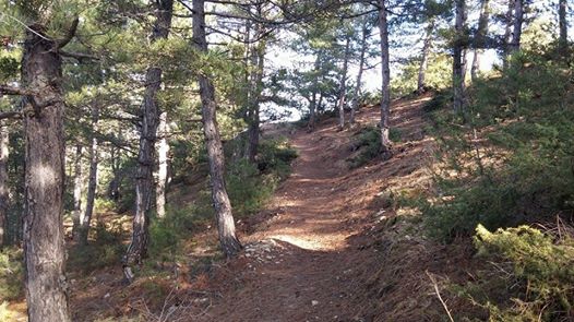 Eskipazar Çaylı Köyü Resimleri 10