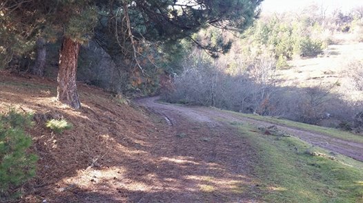 Eskipazar Çaylı Köyü Resimleri 2