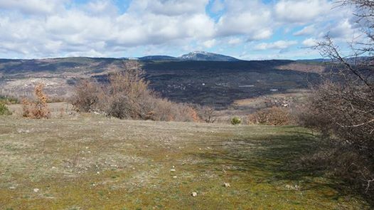 Eskipazar Çaylı Köyü Resimleri 6