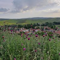 Çubuk Kızılca Köyü Resimleri 12