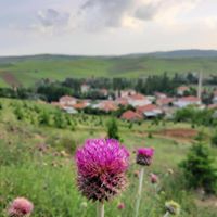 Çubuk Kızılca Köyü Resimleri 14