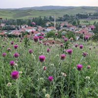 Çubuk Kızılca Köyü Resimleri 8