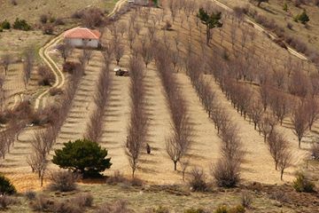 Çubuk Kuruçay Köyü Resimleri 2