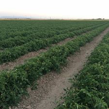 Karapınar Akören Köyü Resimleri 5