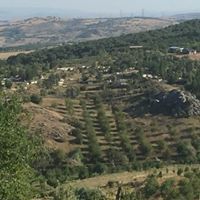 Çubuk Mahmutoğlu Köyü Resimleri 3