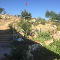 Çubuk Mahmutoğlu Köyü Resimleri 4