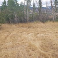 Çubuk Özlüce Köyü Resimleri 10