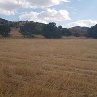 Çubuk Özlüce Köyü Resimleri 8