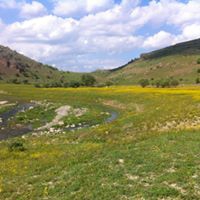 Çubuk Sele Köyü Resimleri 3