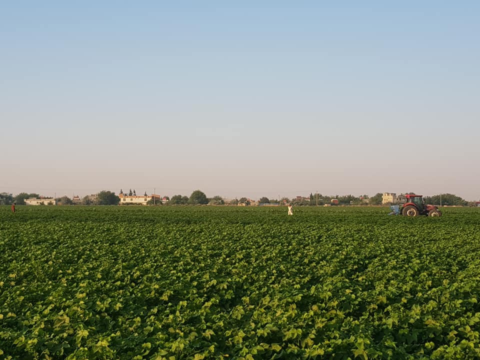 Akçakale Salihler Köyü Resimleri 1
