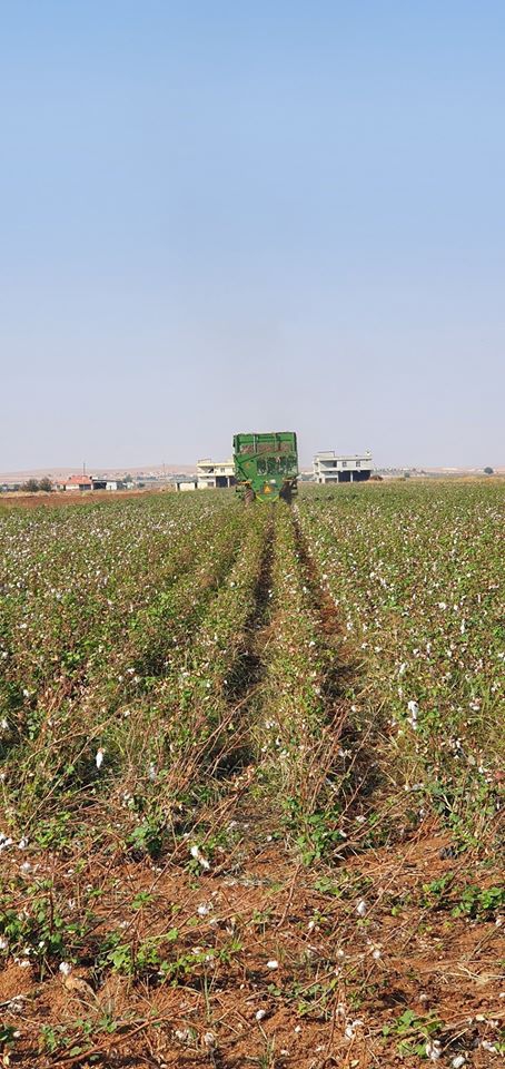 Akçakale Sınırgören Köyü Resimleri 2