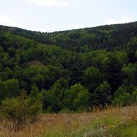 Çubuk Uluağaç Köyü Resimleri 7