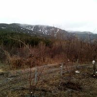 Çubuk Yeşilkent Köyü Resimleri 3