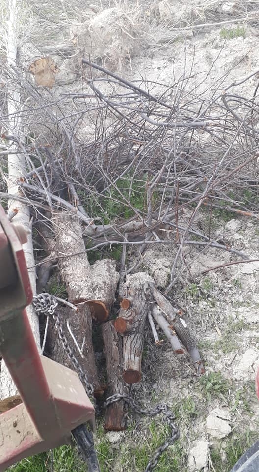 Karapınar Hasanoba Köyü Resimleri 1