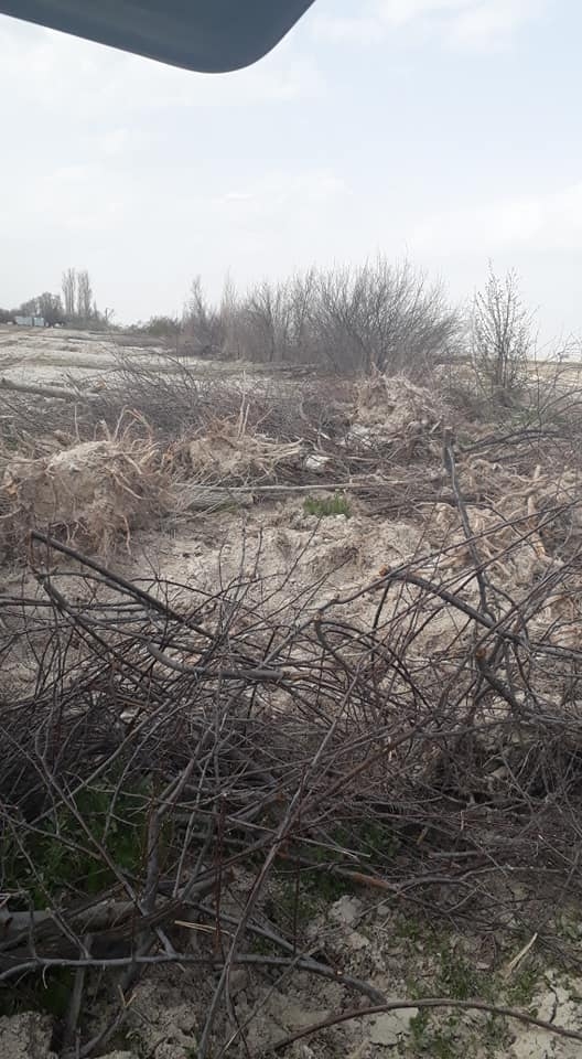 Karapınar Hasanoba Köyü Resimleri 2