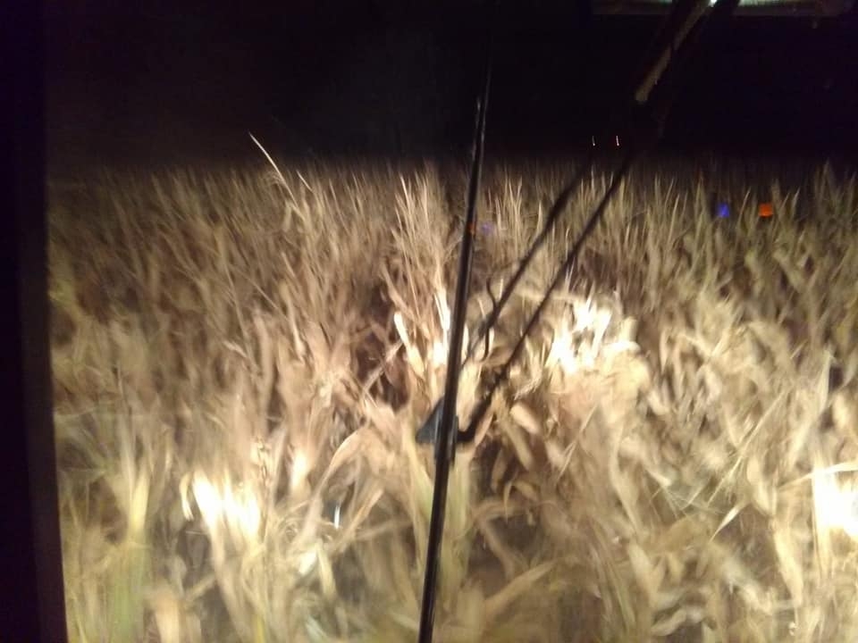 Karapınar Hasanoba Köyü Resimleri 3