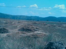 Eskipazar Doğlacık Köyü Resimleri 1