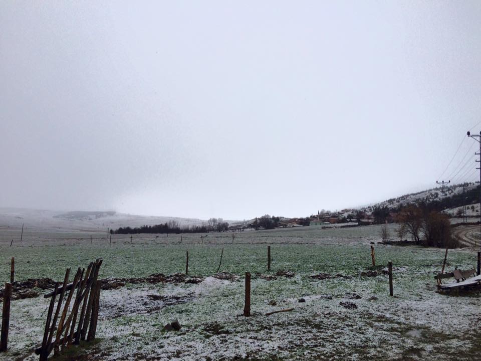 Eskipazar Doğlacık Köyü Resimleri 10