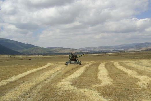 Eskipazar Doğlacık Köyü Resimleri 2