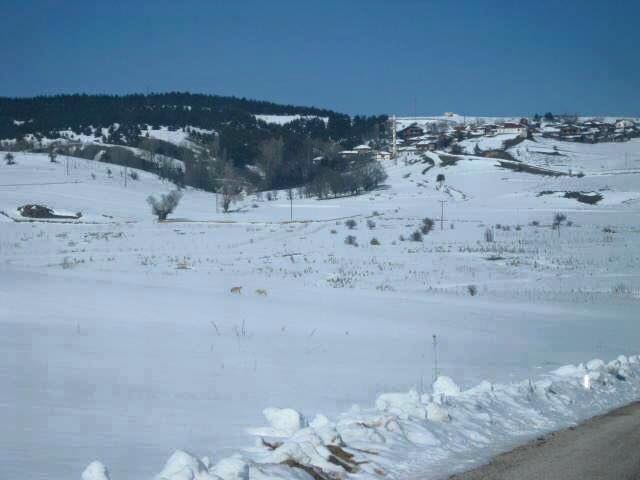 Eskipazar Doğlacık Köyü Resimleri 6