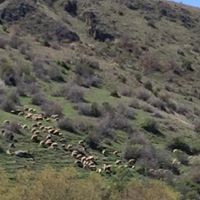 Çubuk Yukarıobruk Köyü Resimleri 1