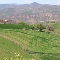 Çubuk Yukarıobruk Köyü Resimleri 2