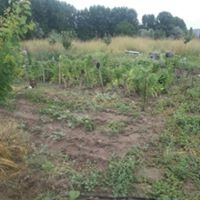 Elmadağ Edige Köyü Resimleri 5