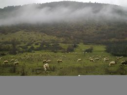 Eskipazar Hamamlı Köyü Resimleri 1