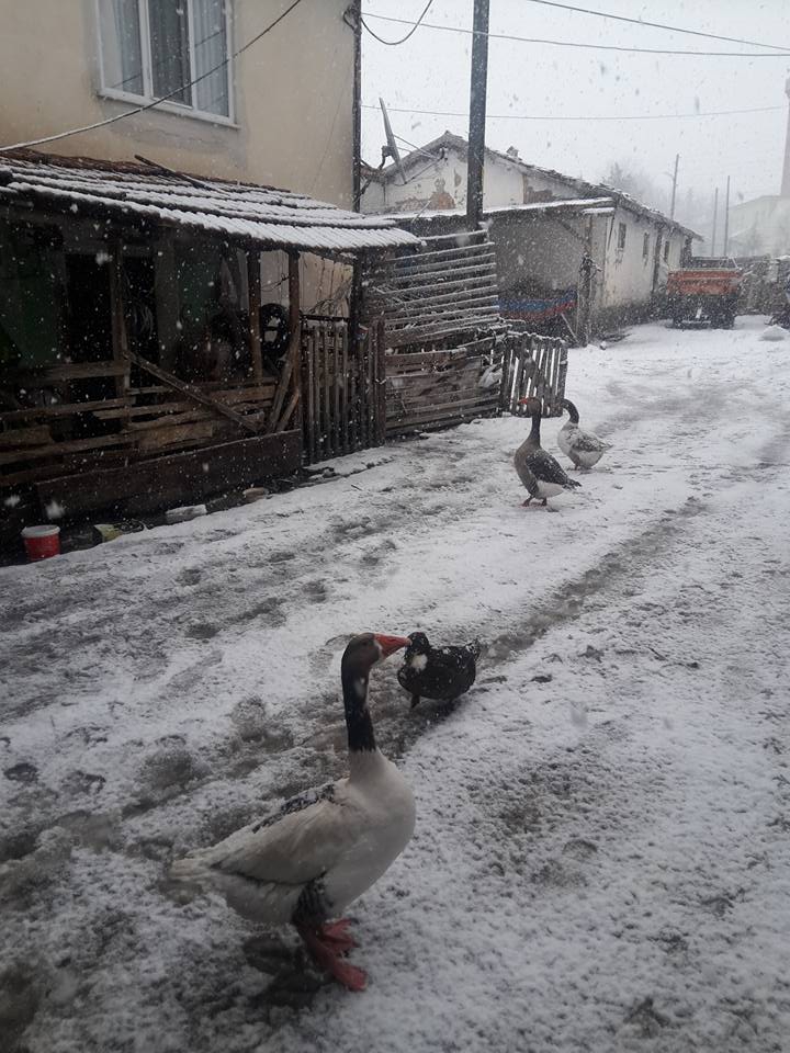 Eskipazar Hamamlı Köyü Resimleri 11