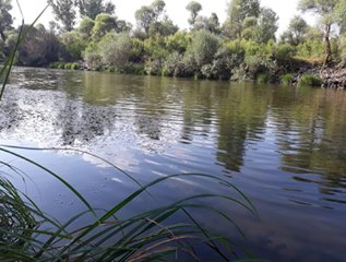 Eskipazar Hamamlı Köyü Resimleri 6