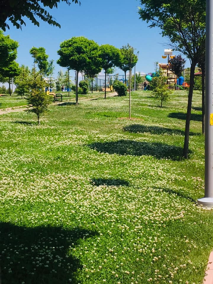 Etimesgut Atayurt Köyü Resimleri 3