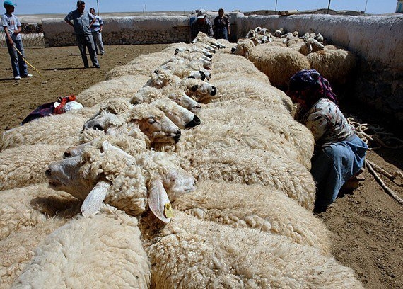 Karapınar Kayacık Köyü Resimleri 7