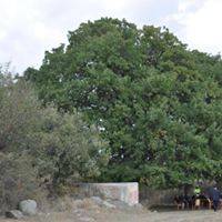 Evren Çatalpınar Köyü Resimleri 4