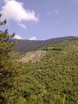 Eskipazar Haslı Köyü Resimleri 8