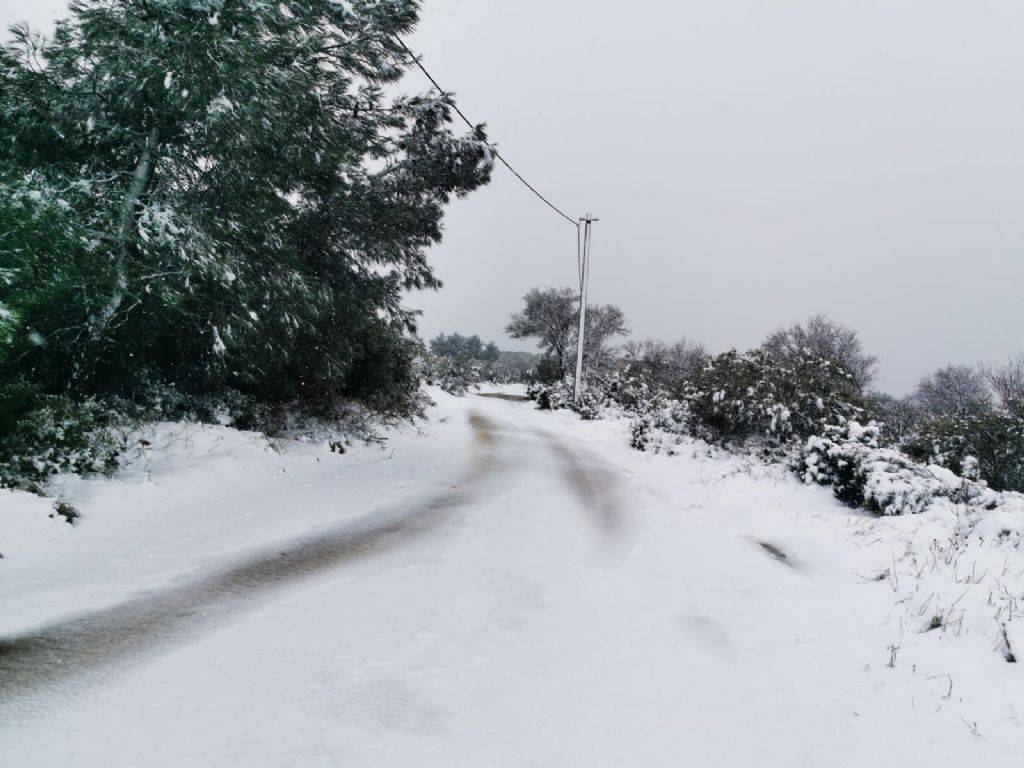 Ezine Geyikli Kasabası Resimleri 10