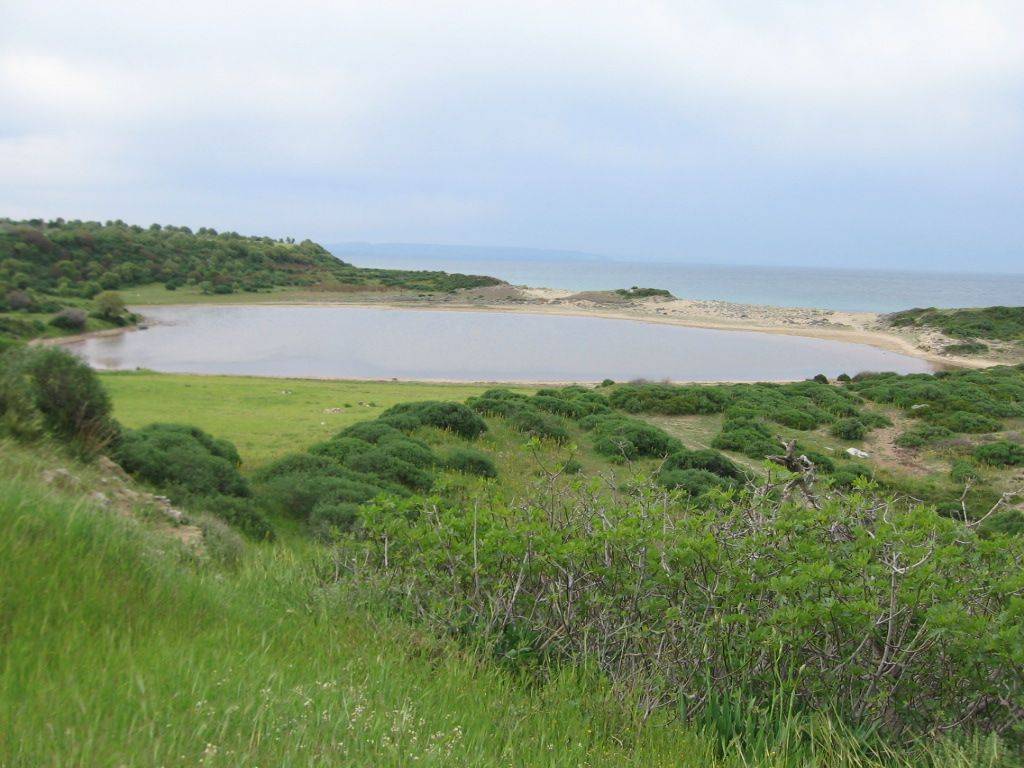 Ezine Geyikli Kasabası Resimleri 15