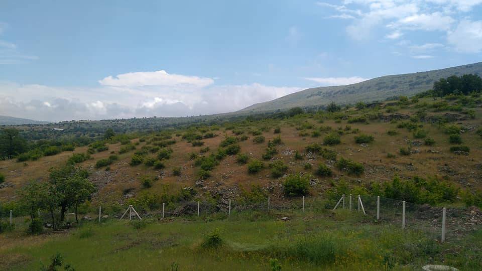 Güdül Adalıkuzu Köyü Resimleri 3