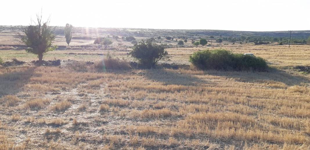 Güdül Çağa Köyü Resimleri 10