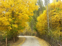 Eskipazar Kabaarmut Köyü Resimleri 5