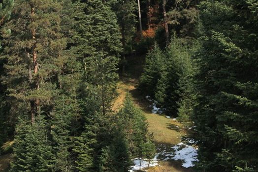 Eskipazar Kabaarmut Köyü Resimleri 8