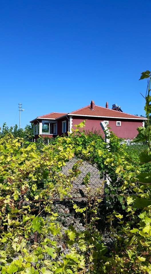 Güdül Garipçe Köyü Resimleri 2