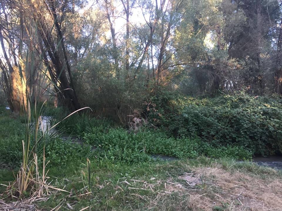 Güdül Güneyce Köyü Resimleri 3