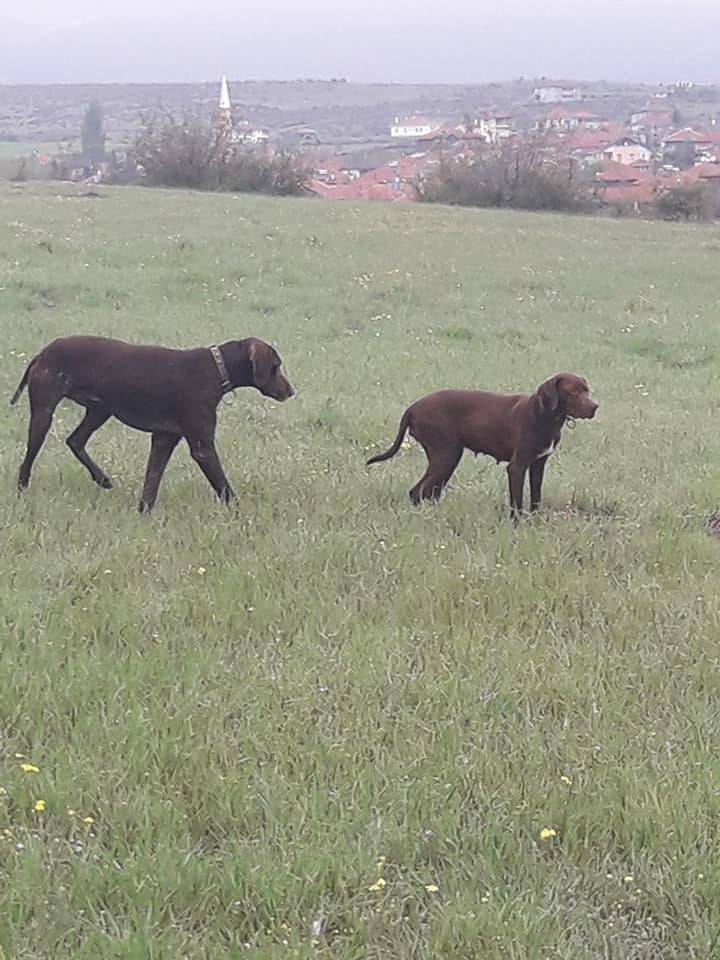 Güdül Karacaören Köyü Resimleri 2
