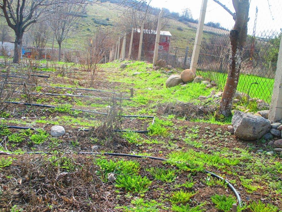 Güdül Özköy Köyü Resimleri 1