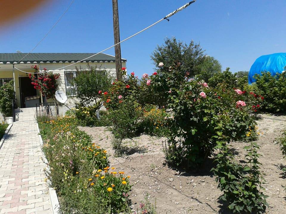 Güdül Özköy Köyü Resimleri 2